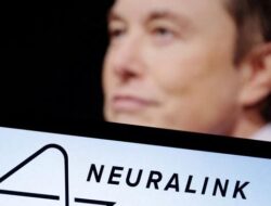 Elon Musk’s Brain Chip Startup Quietly Receives Rp 667 Billion