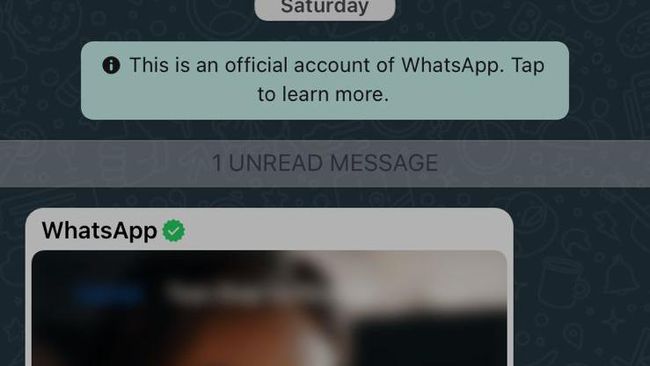 Fitur Baru WhatsApp yang Diklaim Membantu Orang yang Selingkuh