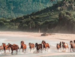 Lokasi Penemuan Dunia yang Hilang di Wilayah Indonesia membuat Heboh