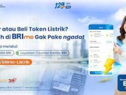 Kehabisan Token Listrik di Tengah Malam? Gunakan BRImo Saja!