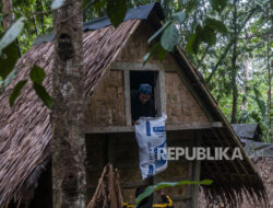 Pelestarian Tradisi Leuit: Harmoni Antara Budaya dan Ketahanan Pangan