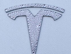 Mobil Tesla Murah 2025: Kata Elon Musk