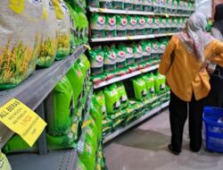 “Studi Terbaru: Warga RI Lebih Suka Belanja Online atau di Toko?”