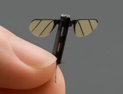 Drone Nyamuk Kaki Tipis Rambut China: Kecanggihan Terbaru