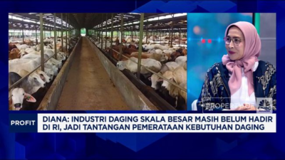 Manfaat Digitalisasi bagi Peternakan: Modern dan Efisien