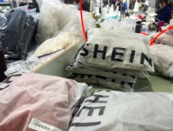 E-Commerce China Dikeluarkan dari RI: Tipu Konsumen di Prancis